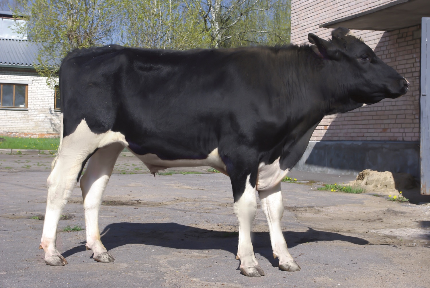 КАМИЛЬ 20124<br>