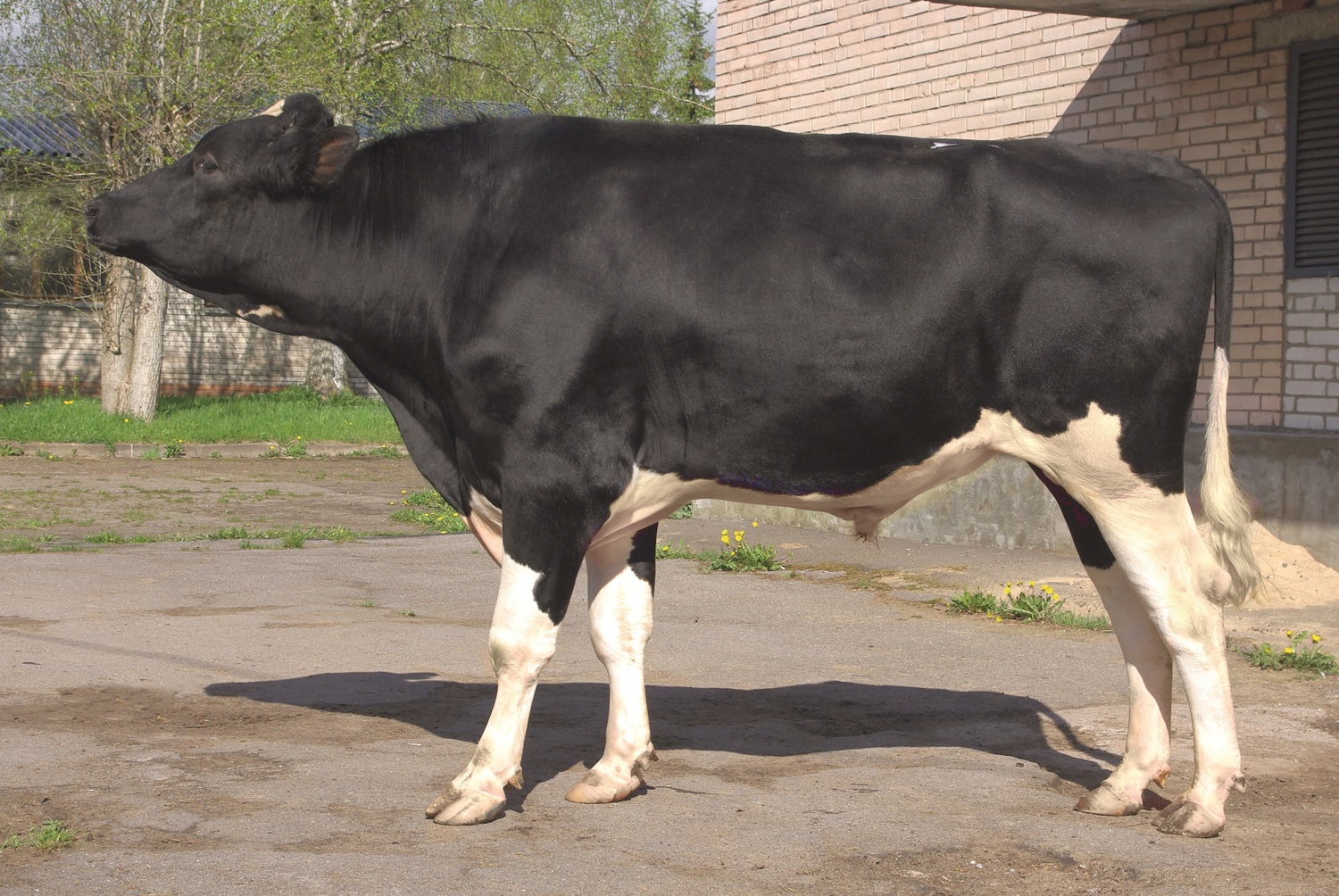 КАМИЛЬ 20124<br>